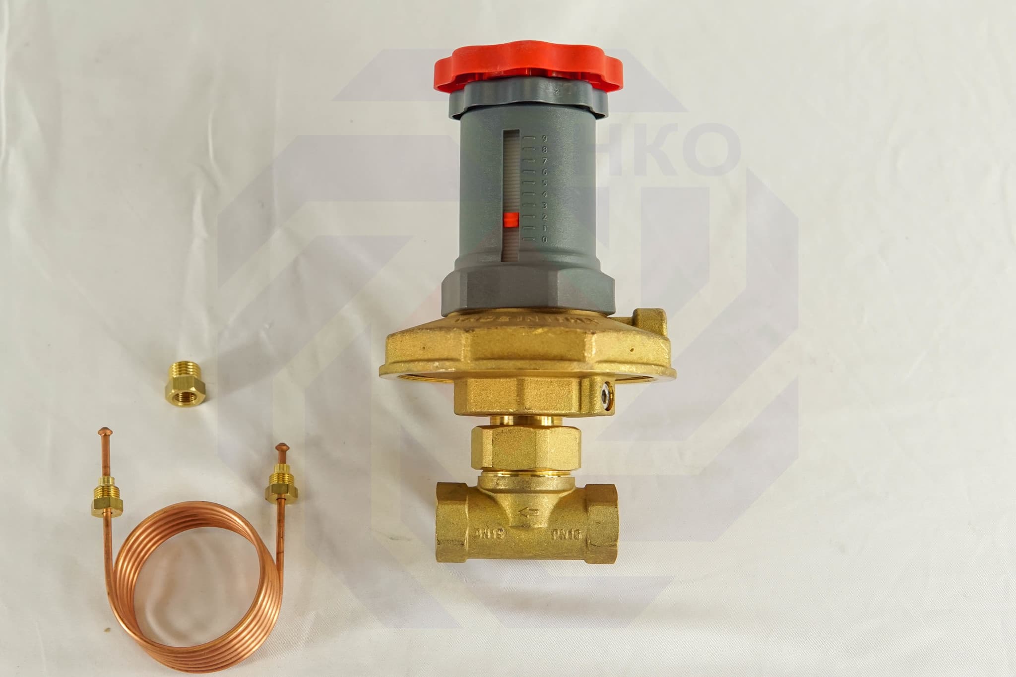 Регулятор перепада давления GIACOMINI R206C DN 15