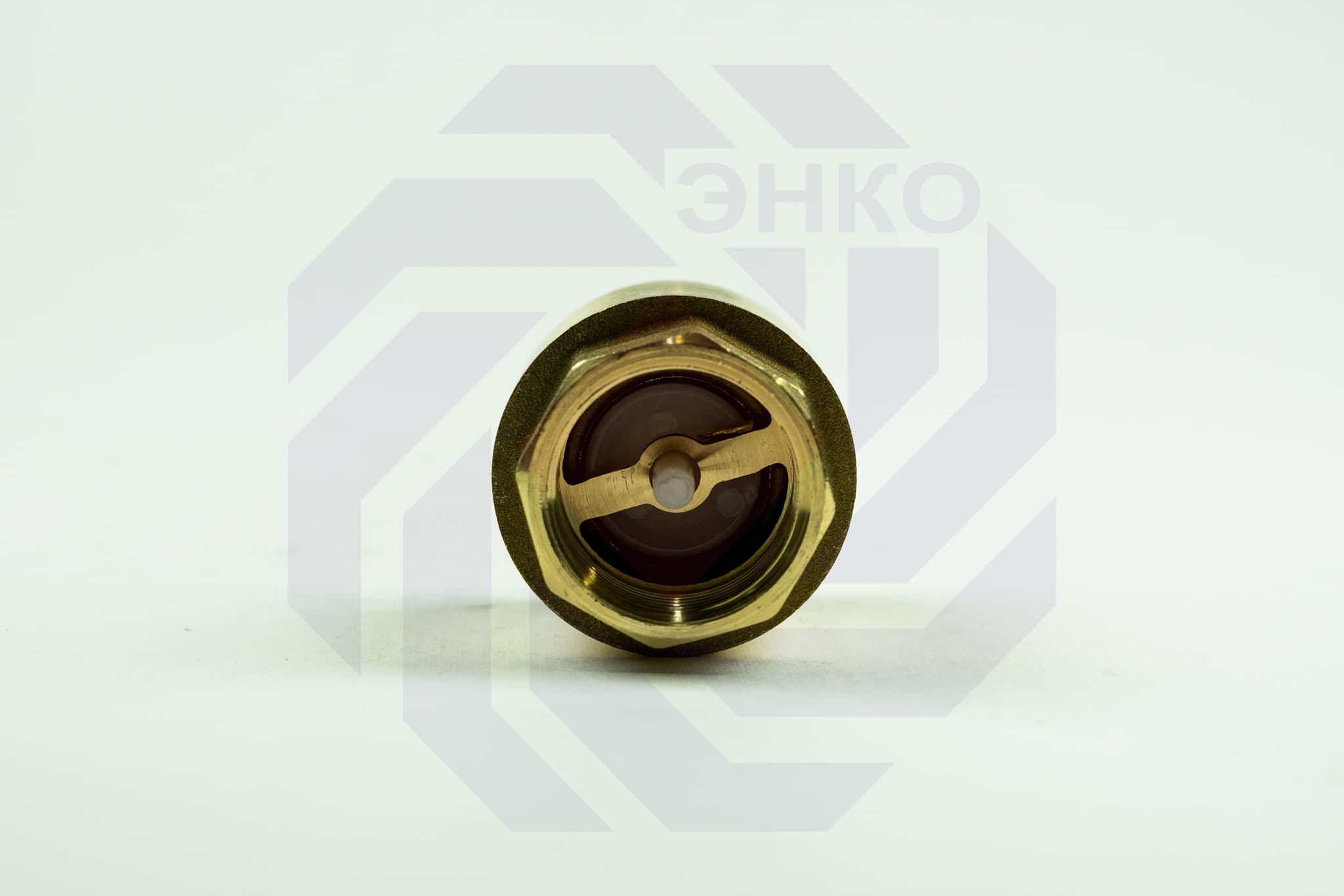 Клапан обратный ВР/ВР BUGATTI EURO 1000 1"