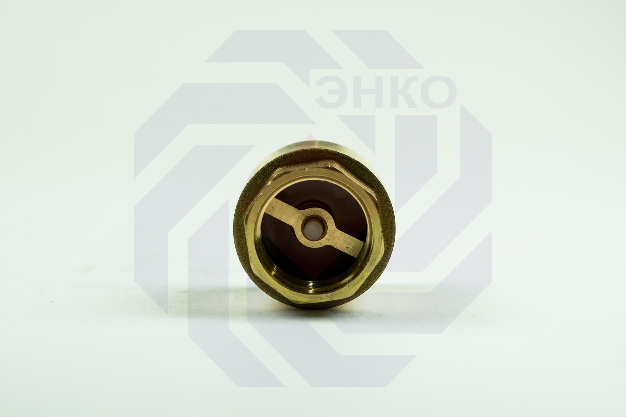 Клапан обратный ВР/ВР BUGATTI EURO 1000 1"