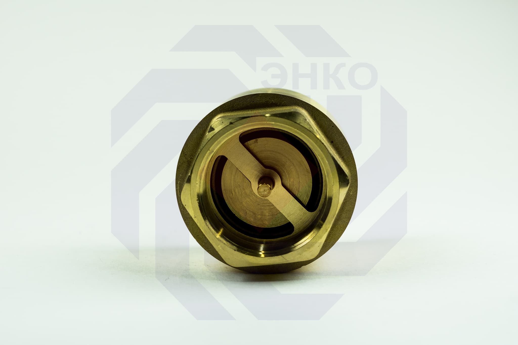 Клапан обратный ВР/ВР BUGATTI EURO 2000 2"