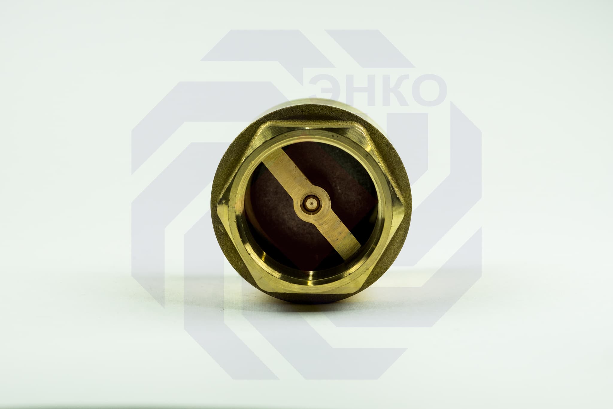 Клапан обратный ВР/ВР BUGATTI EURO 2000 2"