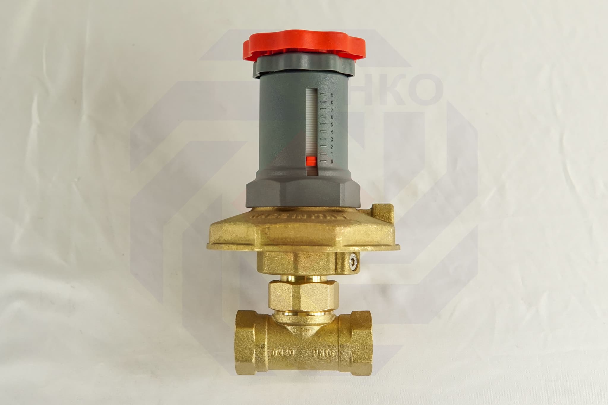 Регулятор перепада давления GIACOMINI R206C DN 20