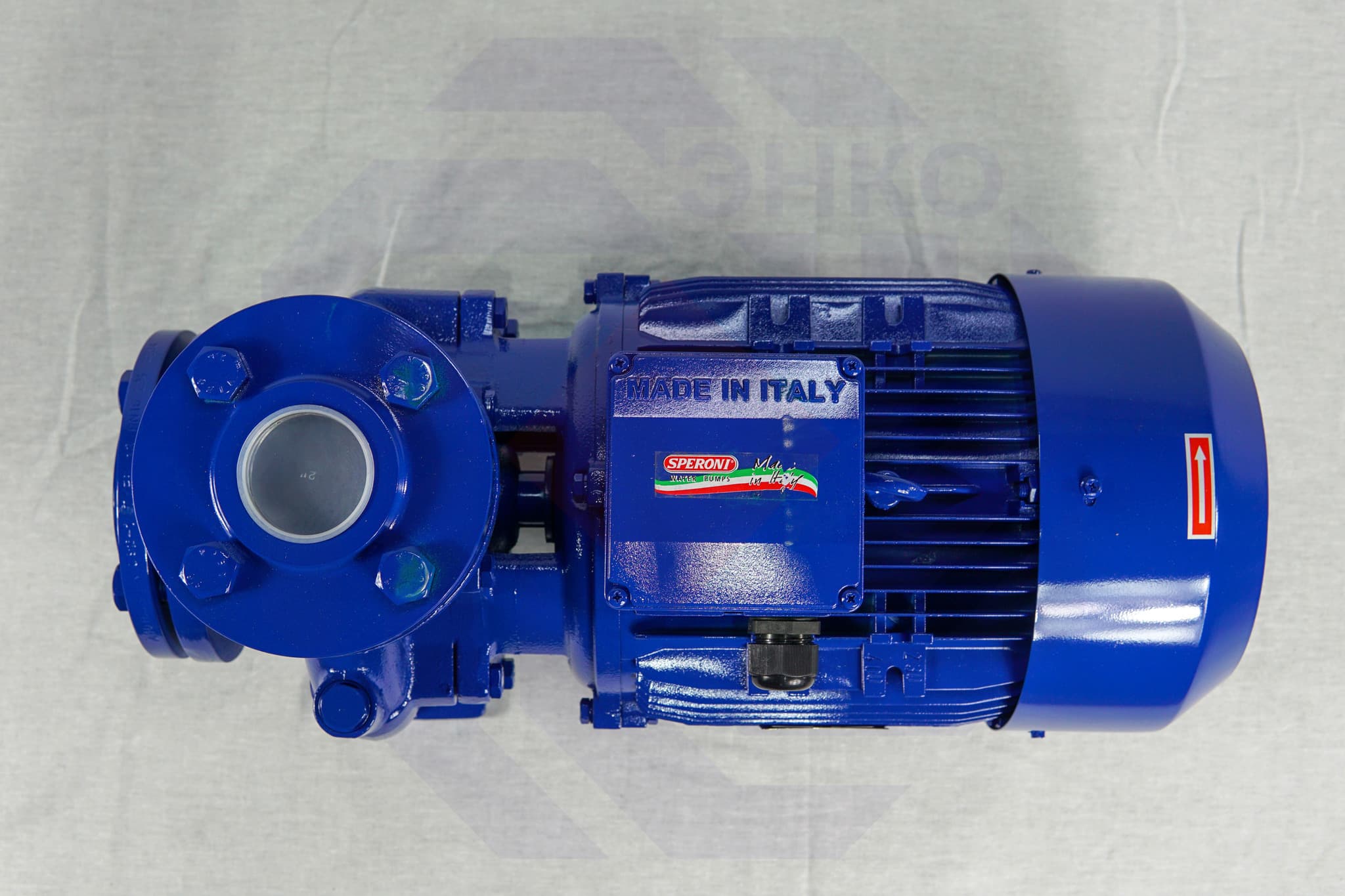 Насос моноблочный SPERONI CS 50-200 A