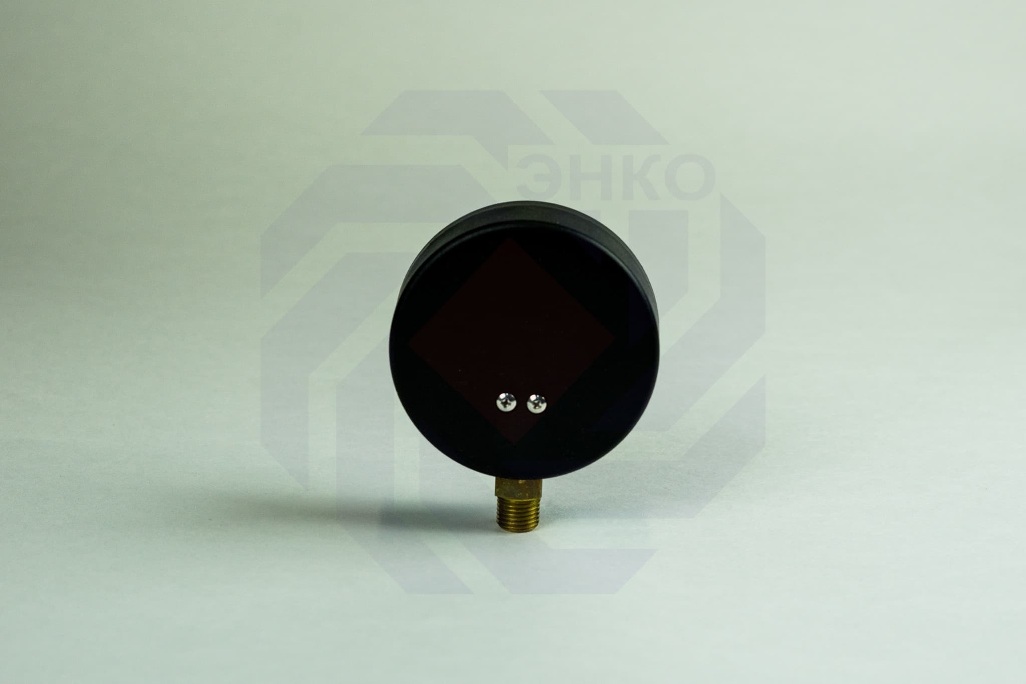 Термоманометр радиальный WATTS TMRA (F+R828) 0-120 °С 0-4 бар 80 мм ½"