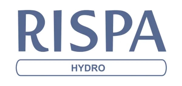 Логотип RISPA