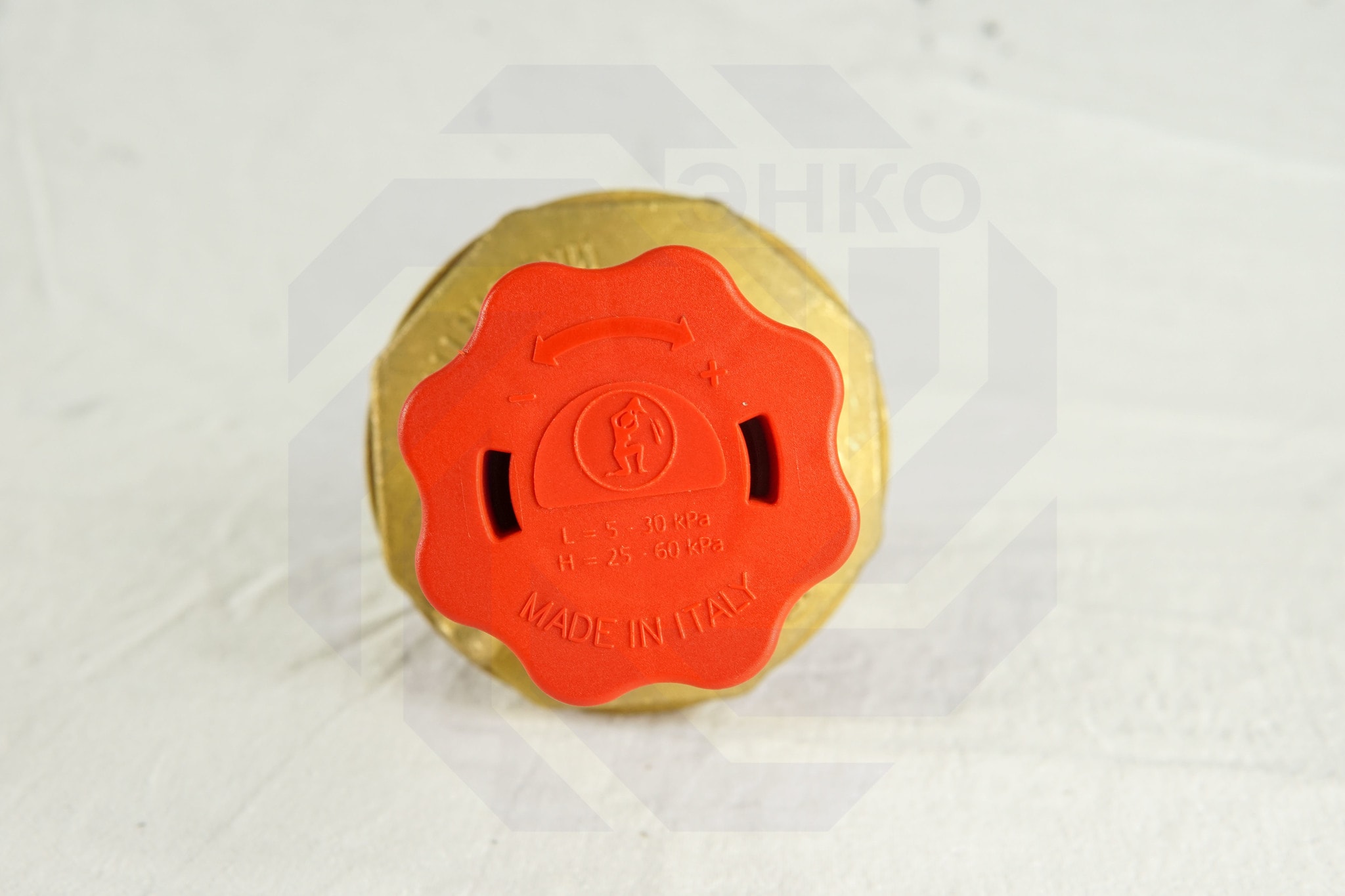 Регулятор перепада давления GIACOMINI R206C DN 15