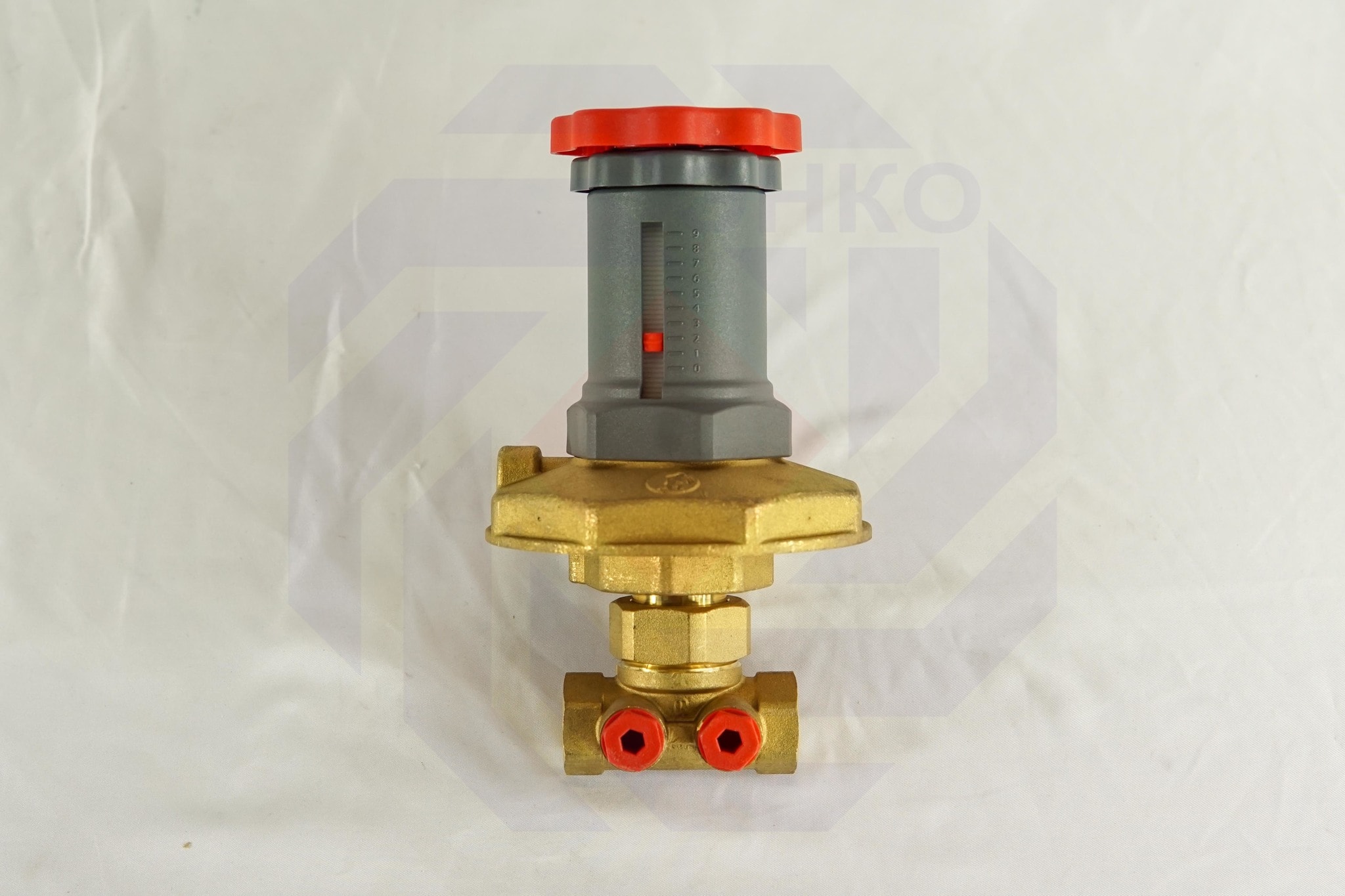 Регулятор перепада давления GIACOMINI R206C DN 15