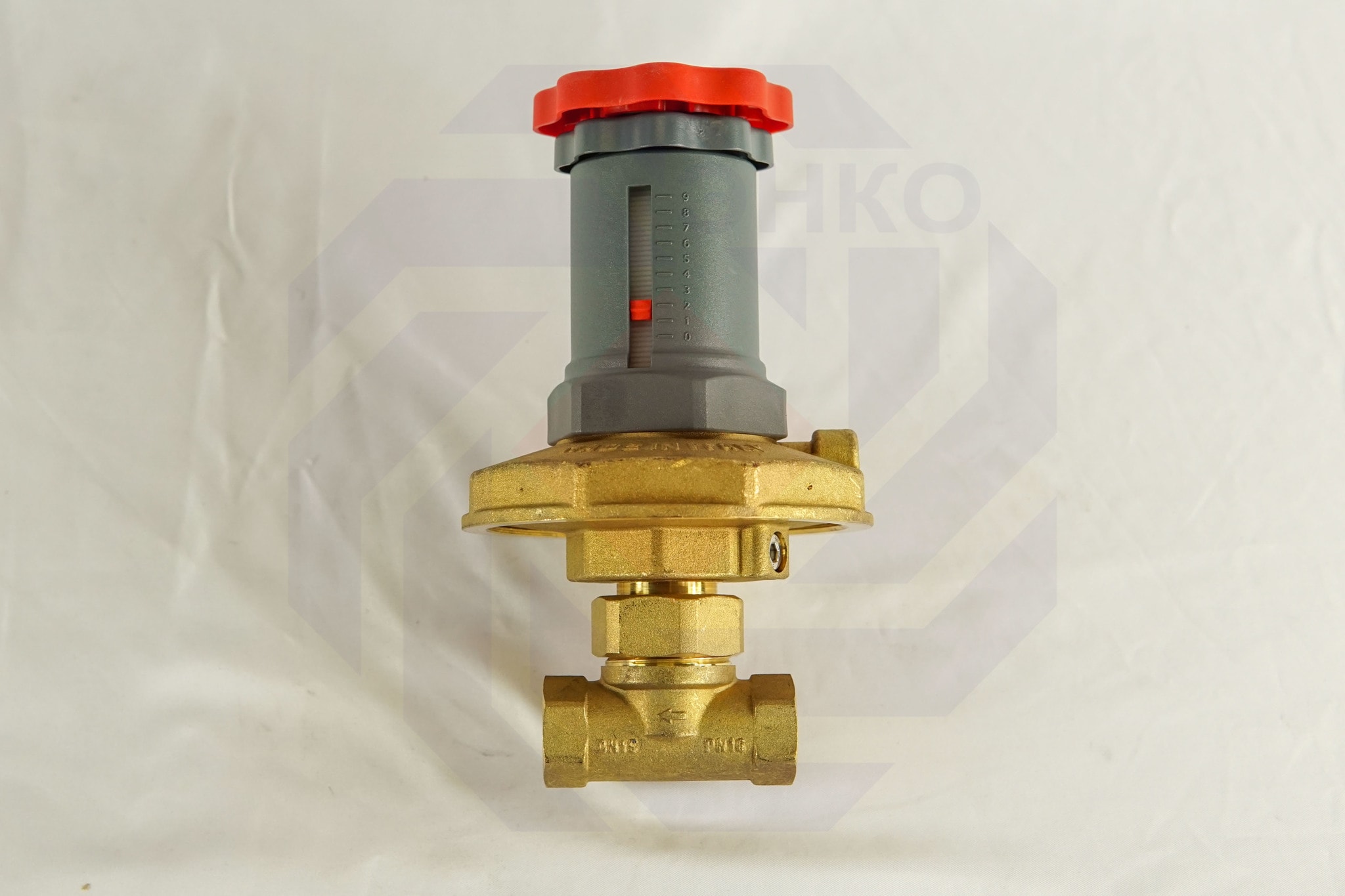Регулятор перепада давления GIACOMINI R206C DN 15